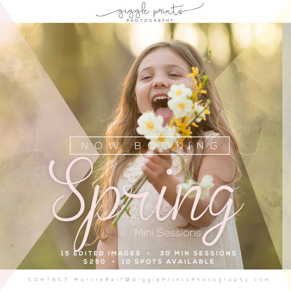 Atlanta Spring Mini Sessions Family Photographer Giggle Prints Photography